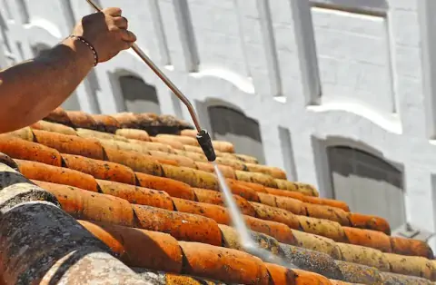Démoussage de toiture à Lamasquère